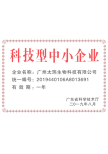 榮譽證書01